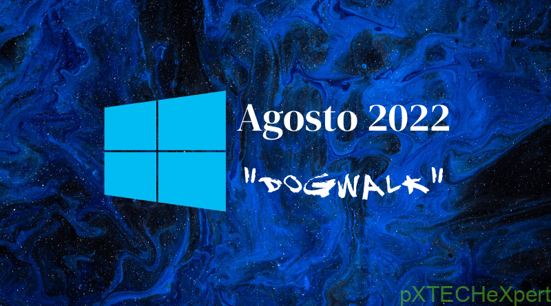 windows parches 2022